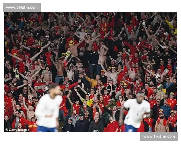 国旗风波升级：内维尔遭英格兰球迷看台辱骂